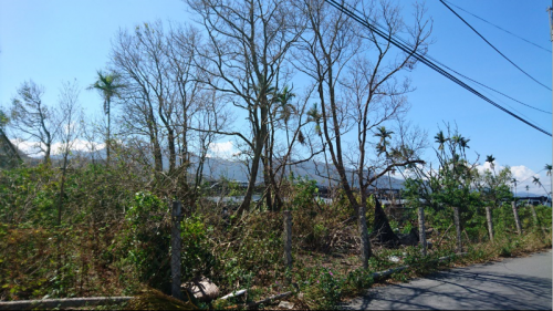 台東沉香園